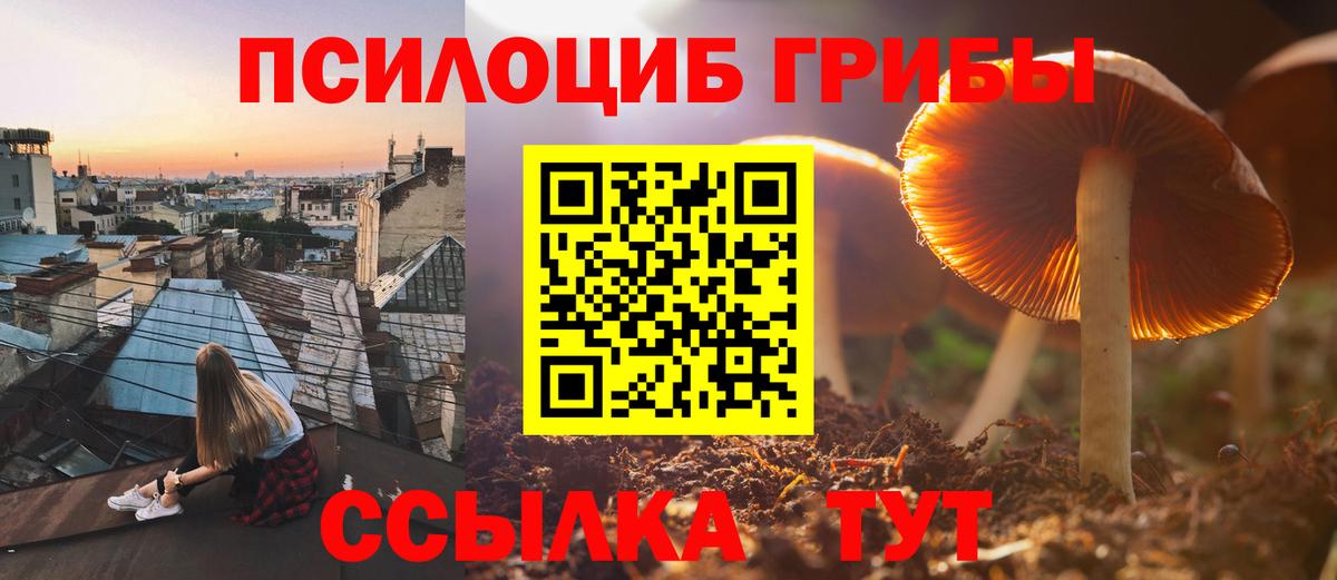 Псилоцибиновые грибы Psilocybine cubensis Первоуральск